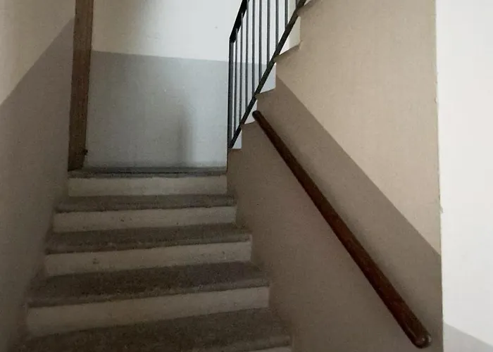 Apartment Burro